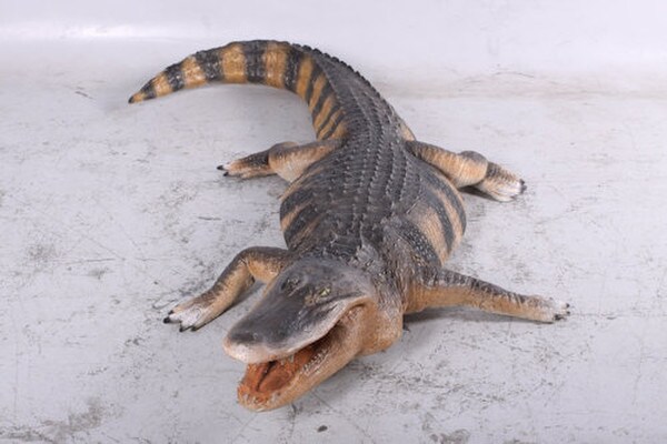 American Alligator Life Size Statue Realistic Sculptures Statuary Statues